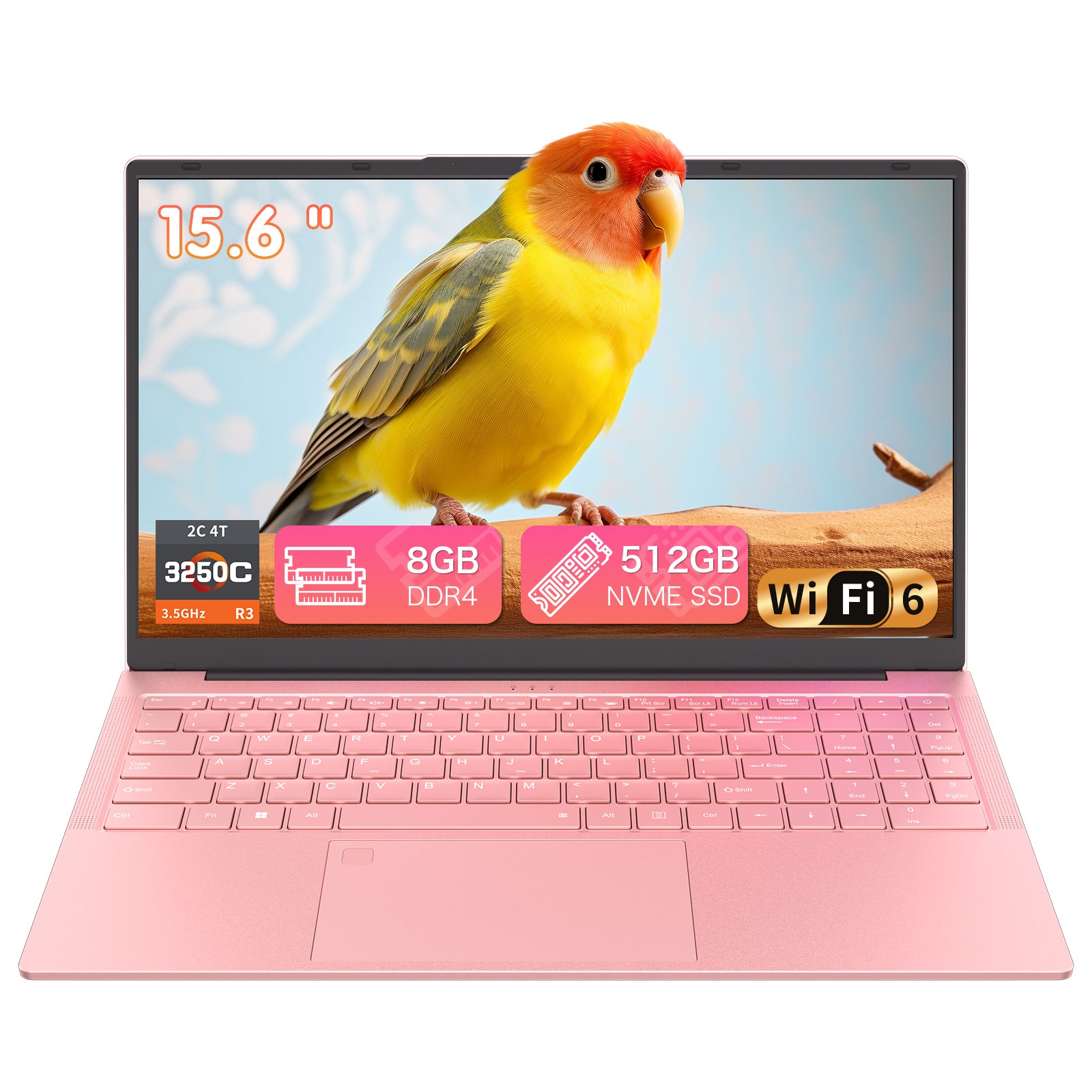 exsurf 15.6" Business Laptop, AMD Ryzen 3 , 8GB RAM, 512GB SSD, Type‑C Port, Pink, Portable Office Computer